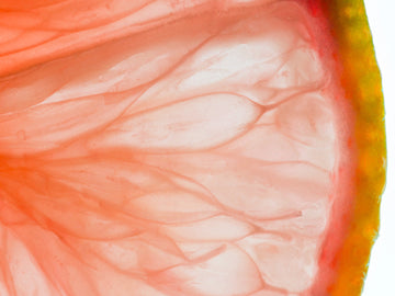 Sustainability from the Inside Out: Biotech As The Future of Beauty