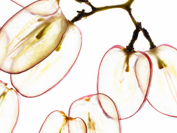 11 of the Best Foods for Skin Health, Explained