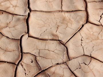How Inflammaging Causes Dry Skin: The Best Skincare Routine for Parched Skin