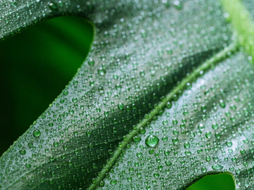 Things Are Heating Up: Humidity & Your Skin